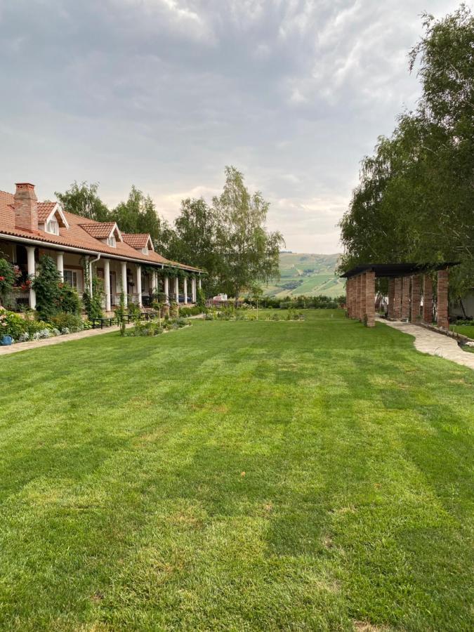Country Club La Mesteceni Себеш Экстерьер фото
