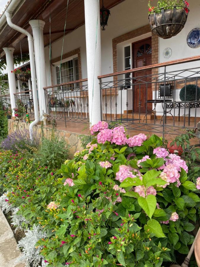 Country Club La Mesteceni Себеш Экстерьер фото